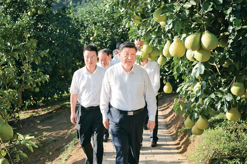 体育app官方下载