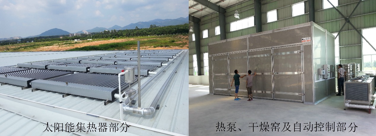 体育app官方下载