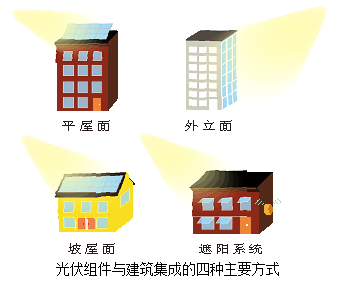 体育app官方下载