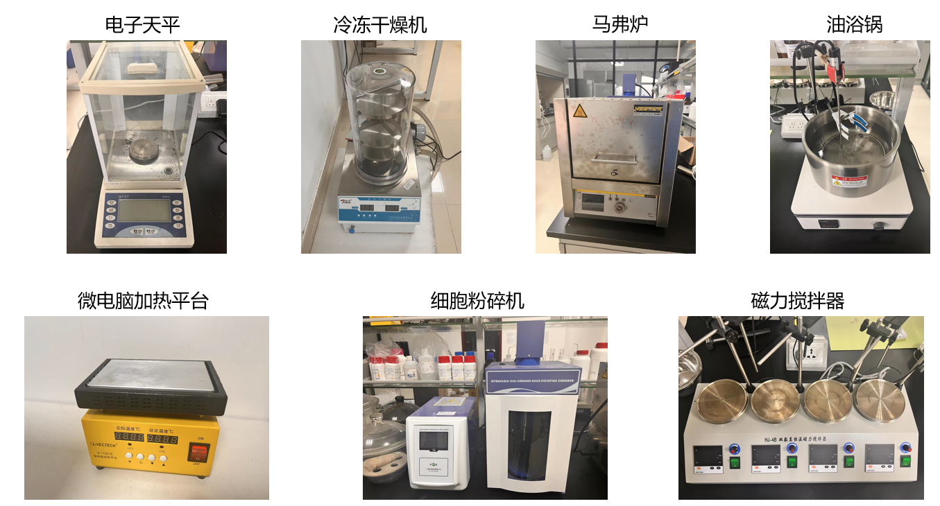 体育app官方下载