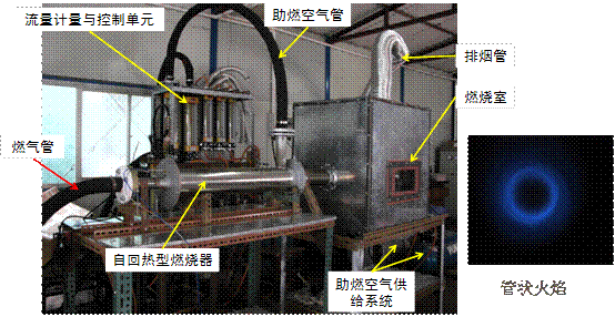 体育app官方下载
