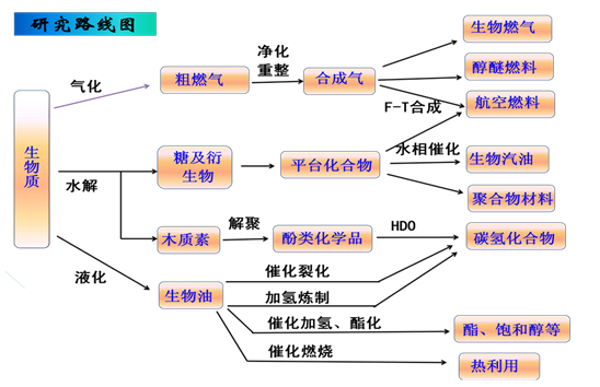体育app官方下载