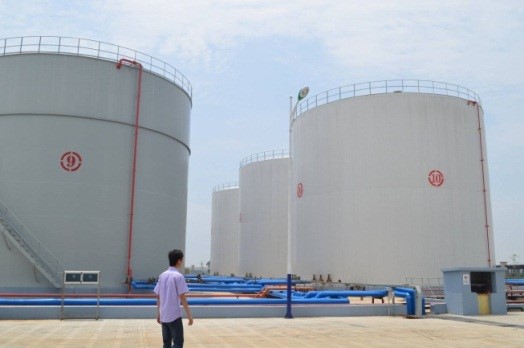 体育app官方下载