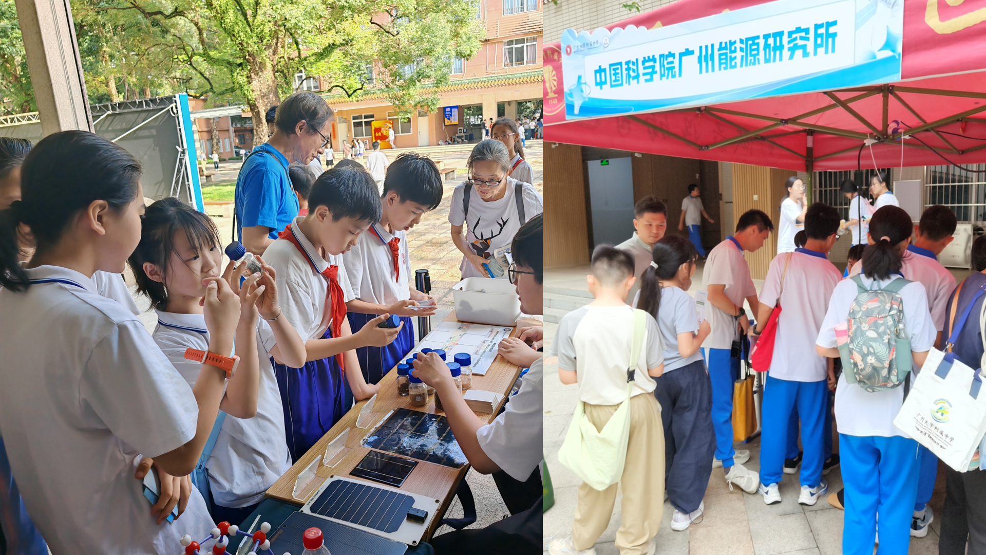 体育app官方下载