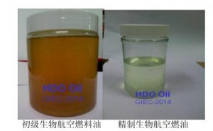 体育app官方下载