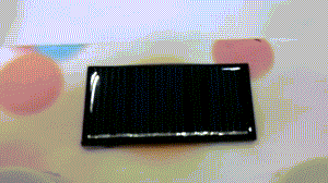 体育app官方下载