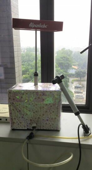 体育app官方下载
