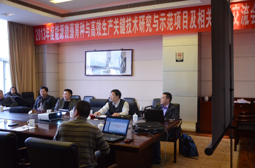 体育app官方下载