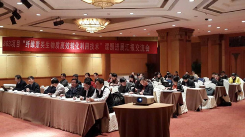 体育app官方下载