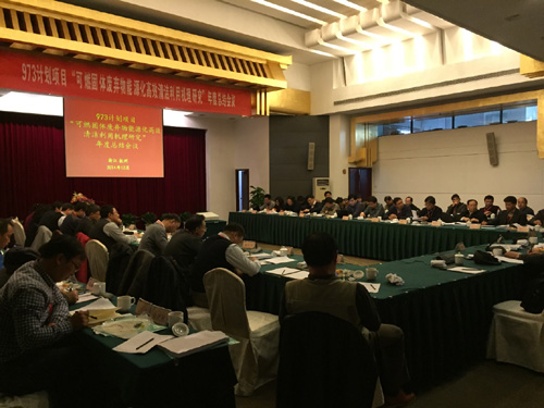 体育app官方下载