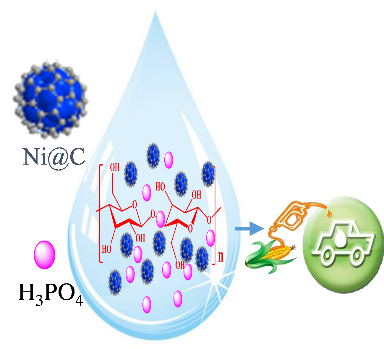 体育app官方下载
