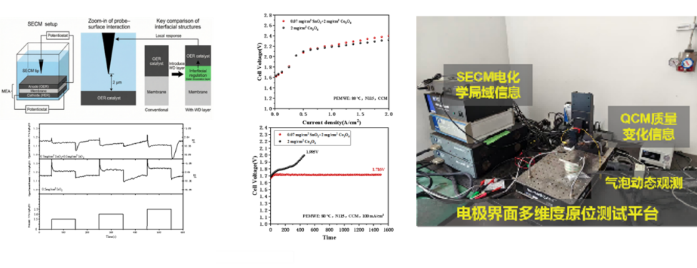 体育app官方下载