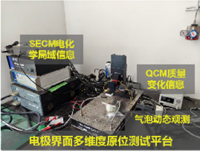 体育app官方下载