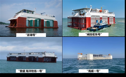体育app官方下载