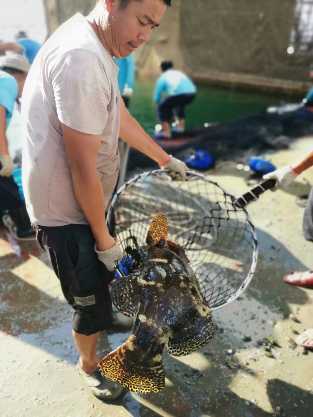 体育app官方下载