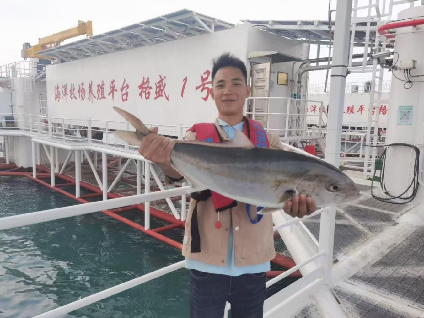 体育app官方下载