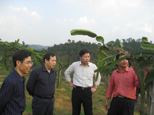 体育app官方下载