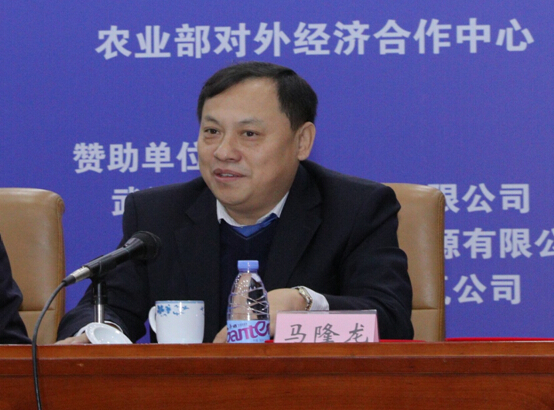 体育app官方下载