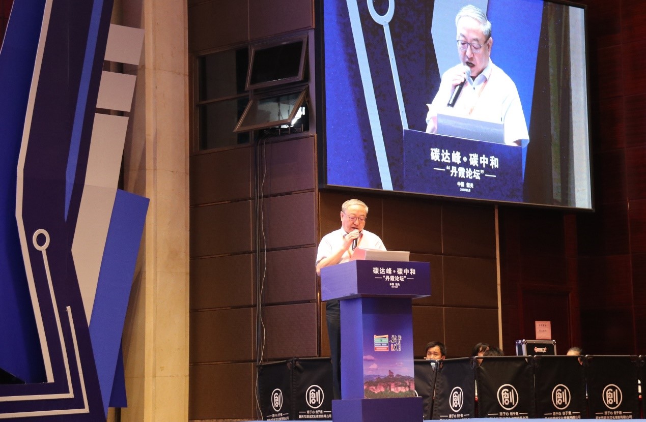 体育app官方下载