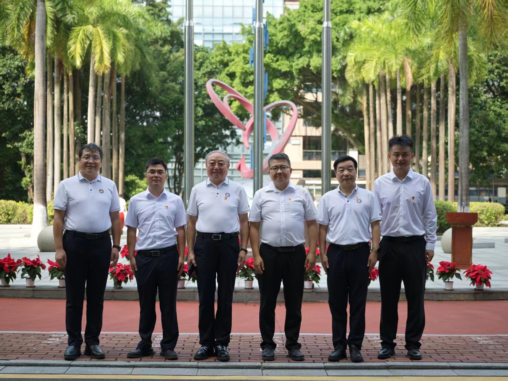 体育app官方下载