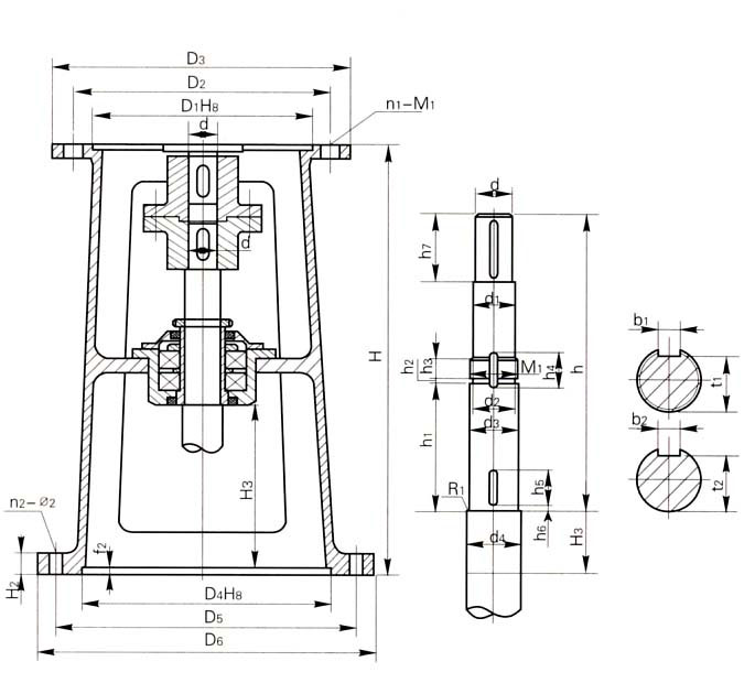 体育app官方下载