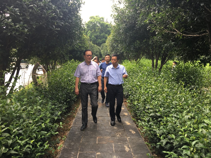 体育app官方下载