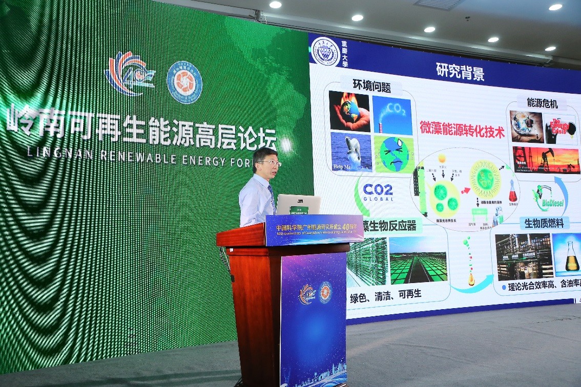 体育app官方下载