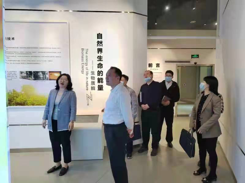体育app官方下载