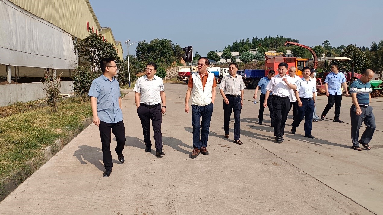 体育app官方下载