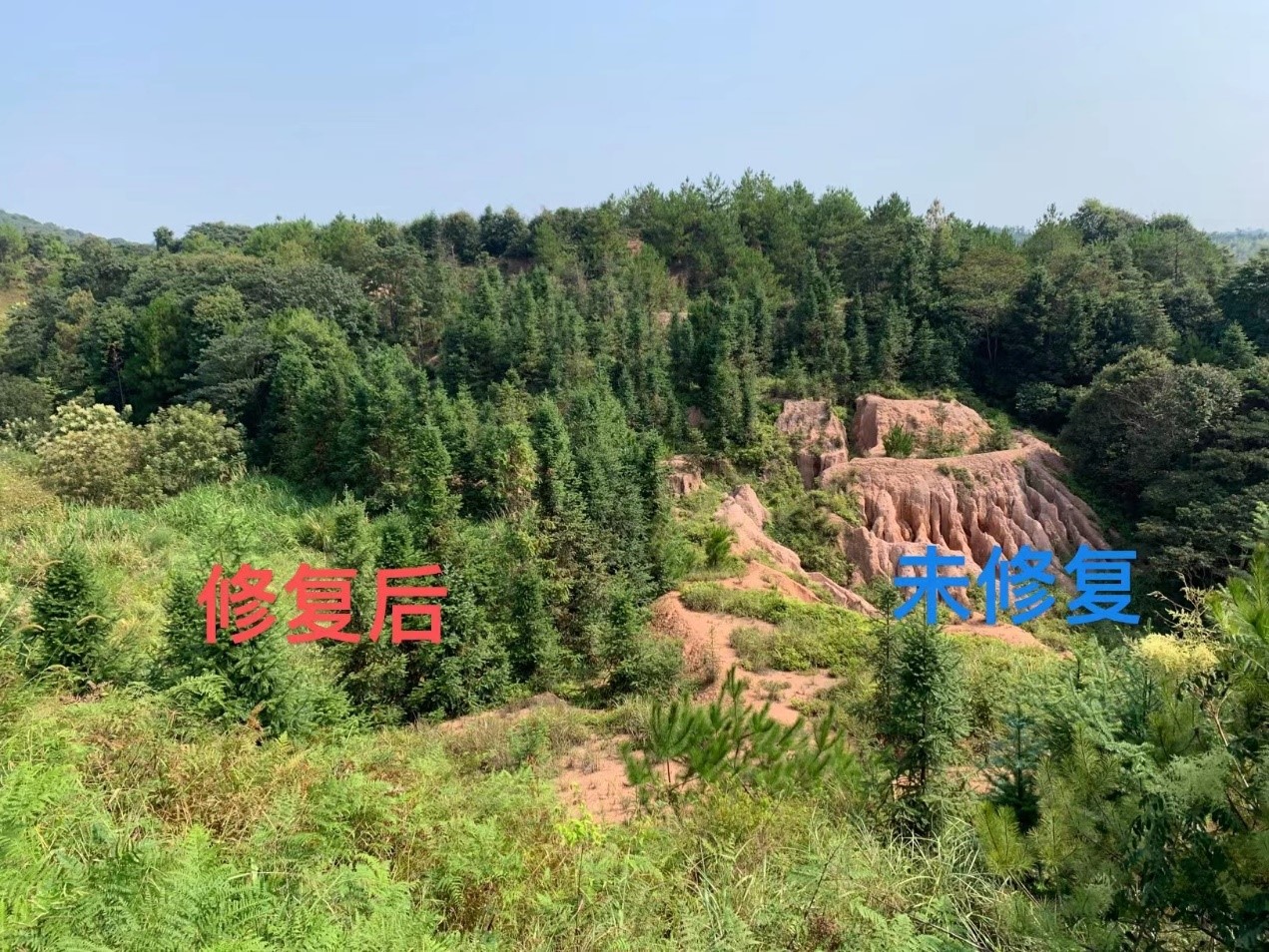 体育app官方下载