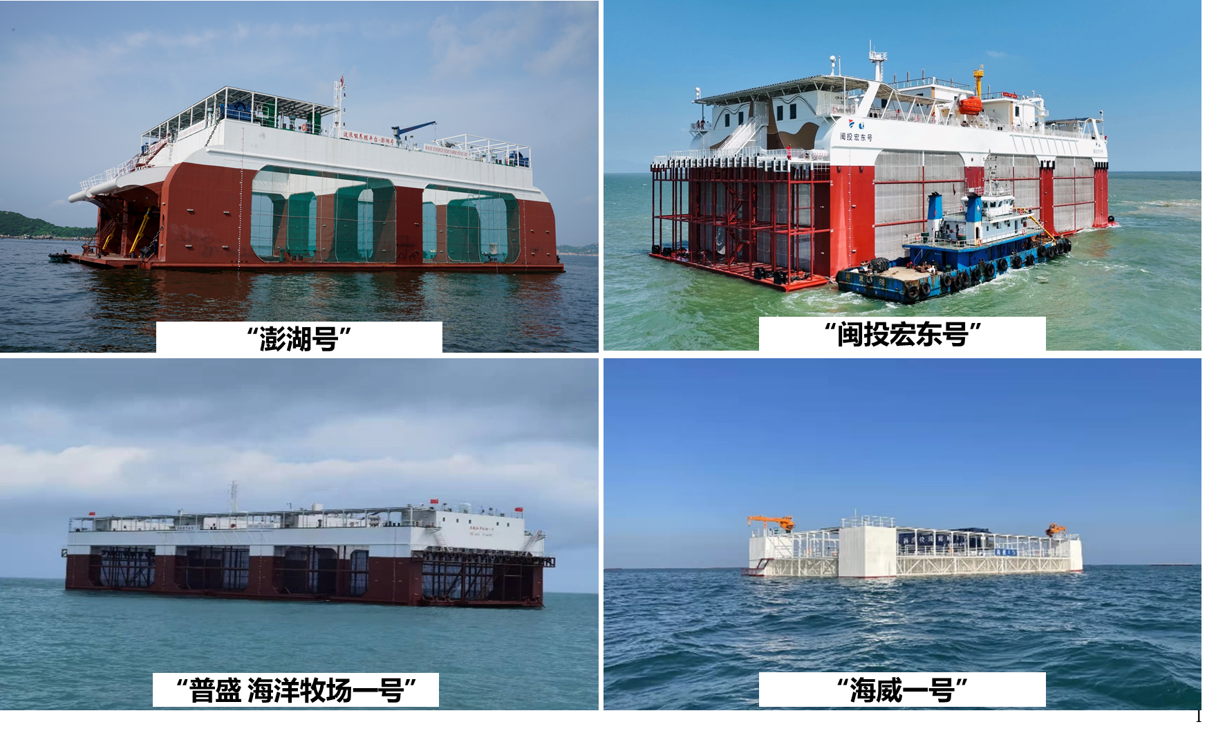 体育app官方下载