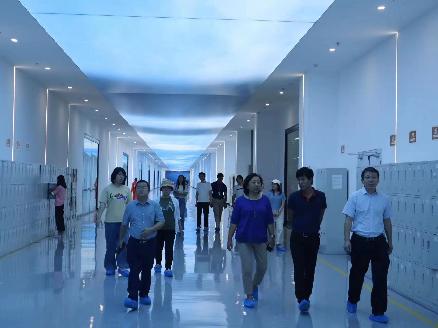 体育app官方下载
