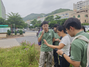 体育app官方下载