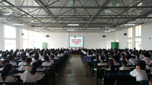 体育app官方下载